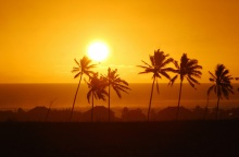 ΟΗΕ: Ο φετινός Ιούλιος είναι «ο θερμότερος μήνας που έχει καταγραφεί ποτέ»