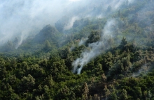 Καπνοί δασικής πυρκαγιάς