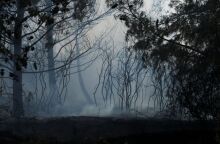 © Nephele Nomikou / SOOC