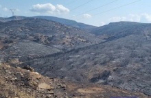 Αποκαρδιωτική εικόνα από τη Νέα Αγχίαλο μετά τη φωτιά και τις εκρήξεις