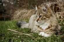 Φωτογραφία αρχείου © Sangia / Unsplash