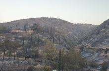 H επόμενη μέρα μετά τη μεγάλη φωτιά στην Κύπρο