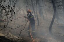 Μάχη για την κατάσβεση της φωτιάς στη Φυλή © Alexandros Michailidis / SOOC