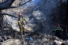 Φωτιές: Αναζωπυρώσεις σε Έβρο, Πάρνηθα, Βοιωτία 