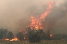 Φωτιά στον Έβρο: Μήνυμα 112 για εκκένωση του χωριού Αύρα