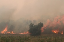 Φωτιά στον Έβρο: Αναζωπυρώσεις - Εκκενώσεις οικισμών