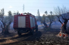 Καστοριά: Κεραυνός έκαψε κτηνοτροφική μονάδα στην Μεσοποταμία