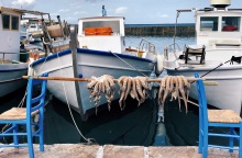 POS στο Αιγαίο: Λουκέτα και πρόστιμα σε 43 καταστήματα για φοροδιαφυγή