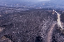 Φωτιά στην Αλεξανδρούπολη: H μεγαλύτερη που έχει καταγράψει η ΕΕ