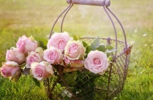 Εορτολόγιο: Σήμερα 12 Φεβρουαρίου 2024 γιορτάζει…