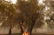 Φωτιά τώρα στον Έβρο: Προειδοποιητικό μήνυμα στο Σουφλί	