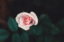 Εορτολόγιο: Σήμερα 1 Σεπτεμβρίου 2023 γιορτάζει…