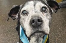 Ο 23χρονος Τάι έκλεισε ένα χρόνο με τους νέους του κηδεμόνες