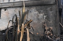 Στιγμιότυπο από τη φωτιά στην Πάρνηθα