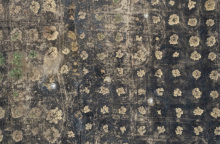 Καμένες εκτάσεις στα Δίκελα Αλεξανδρούπολης