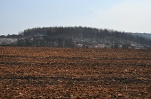 Πυρκαγιά στον Έβρο: Κάηκε σχεδόν το 60% του δάσους της Δαδιάς