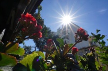 Καιρός αύριο: Γενικά αίθριος - Εξασθενούν οι άνεμοι