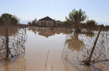 Κακοκαιρία Daniel - Αγαπηδάκη: 46 κρούσματα γαστρεντερίτιδας και 24 λοιμώξεις του αναπνευστικού στις πληγείσες περιοχές