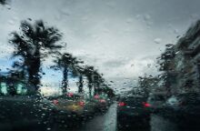 Πυροσβεστική: 337 κλήσεις για κοπές δέντρων και βοήθεια