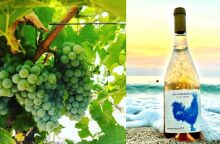 «Μπλε Κόκορας»