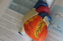 20 απλά βήματα για μια πιο υγιή καρδιά προτείνουν οι καρδιολόγοι 