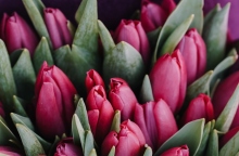 Ποιοι γιορτάζουν σήμερα 8 Δεκεμβρίου