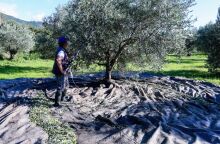 Άδεια νόμιμης εργασίας για εργάτες γης δίνει η κυβέρνηση 