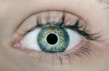 Σύστημα τεχνητής νοημοσύνης εντοπίζει τον αυτισμό από φωτογραφίες του αμφιβληστροειδούς  Με 100% ακρίβεια υποστηρίζουν επιστήμονες από το πανεπιστήμιο Yonsei της Ν. Κορέας