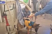 Iσραήλ: Aνέκαμψε σκύλος των ειδικών δυνάμεων που χτυπήθηκε από χειροβομβίδα της Χαμάς