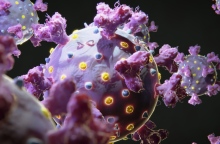 Επιστήμονες στις ΗΠΑ κατάφεραν να καταστρέψουν το 99% των καρκινικών κυττάρων στο εργαστήριο Οι ερευνητές χρησιμοποίησαν δονούμενα μόρια για να καταστρέψουν τα καρκινικά κύτταρα