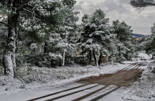 Κλειστή η λεωφόρος Πάρνηθας λόγω χιονόπτωσης από το ύψος του τελεφερίκ