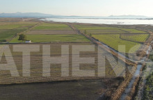 Αποκλειστικό βίντεο-drone από το σημείο δολοφονίας του Μπάμπη Κούτσικου 