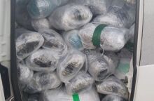 Κιάτο: Πάνω από 195 κιλά κάνναβης κατέσχεσε η αστυνομία