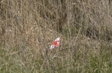 Γ. Τσούκαλης για Μεσολόγγι: Το κινητό του Μπάμπη ήταν ανοιχτό για να ακούγεται η συνομιλία με τον κρεοπώλη