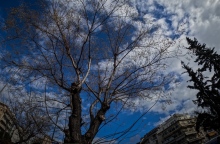 Αίθριος ο καιρός για αύριο Τρίτη σε όλη την Ελλάδα με λίγες νεφώσεις