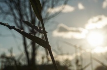 Καιρός σήμερα