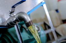 Eurostat: Tον Ιανουάριο, η τιμή του ελαιολάδου στην Ε.Ε ήταν 50% υψηλότερη από τον αντίστοιχο του 2023