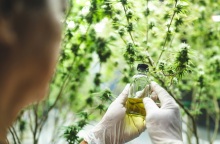 Ανακουφισμένη δηλώσει η πρώτη ασθενής που έλαβε σκεύασμα φαρμακευτικής κάνναβης - Σε ποιες περιπτώσεις χορηγείται