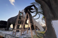 Ο μάγος των αρμάτων στον Πολύγυρο Χαλκιδικής - Φέτος «κλωνοποιεί» τα μαμούθ	