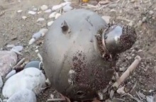 Νάρκη από την Ουκρανία «ξεβράστηκε» στη Ρόδο - Εντοπίστηκε από περαστικό