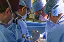 ΗΠΑ: Η πρώτη μεταμόσχευση νεφρού γενετικά τροποποιημένου χοίρου σε ζώντα ασθενή