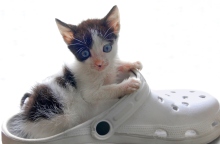 Εορτολόγιο: Σήμερα 23 Μαρτίου 2024 γιορτάζει…