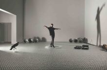 Πάνος Χαραλάμπους - Amvrakia.Mia: Η αγροτική ύπαιθρος σε ένα αστικό διαμέρισμα του Κολωνακίου