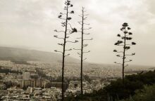 Κοκτέιλ αφρικανικής σκόνης και ζέστης στην Αθήνα 