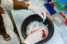 Ιατρός κρατάει μπουκαλάκια με δείγματα πάνω από ένα δοχεία με πάγο