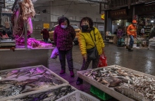 Δύο γυναίκες από Κίνα κοιτάζουν τελάρα με ψάρια