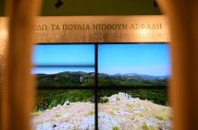 Έβρος: Νεκρά 47 ζώα από δηλητηριασμένα δολώματα