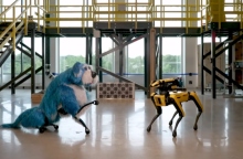 1 ρομπότ με στολή σκύλου απέναντι στο ίδιο ρομπότ με κίτρινο χρώμα