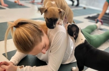 γυναικα, 2 κουταβια