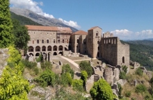 καστρο, δεντρα